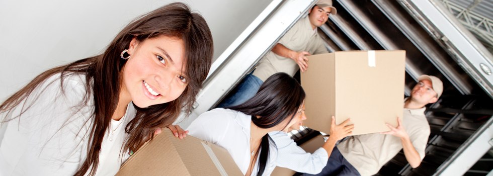 Professional Removalists Buaraba South